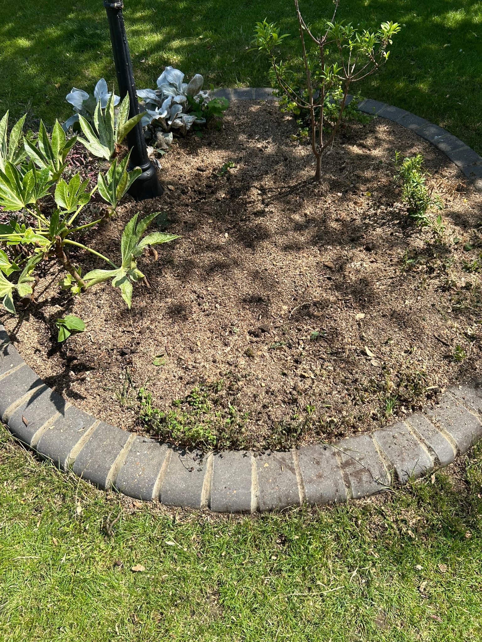 The same brick-edged flowerbed after stump grinding, with the stump gone and the ground left level with wood chips raked in