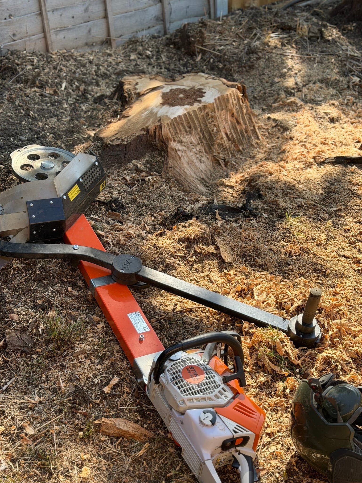 A large part-ground stump near a garden fence with the Terminator attachment and chainsaw resting in fresh chippings beside it