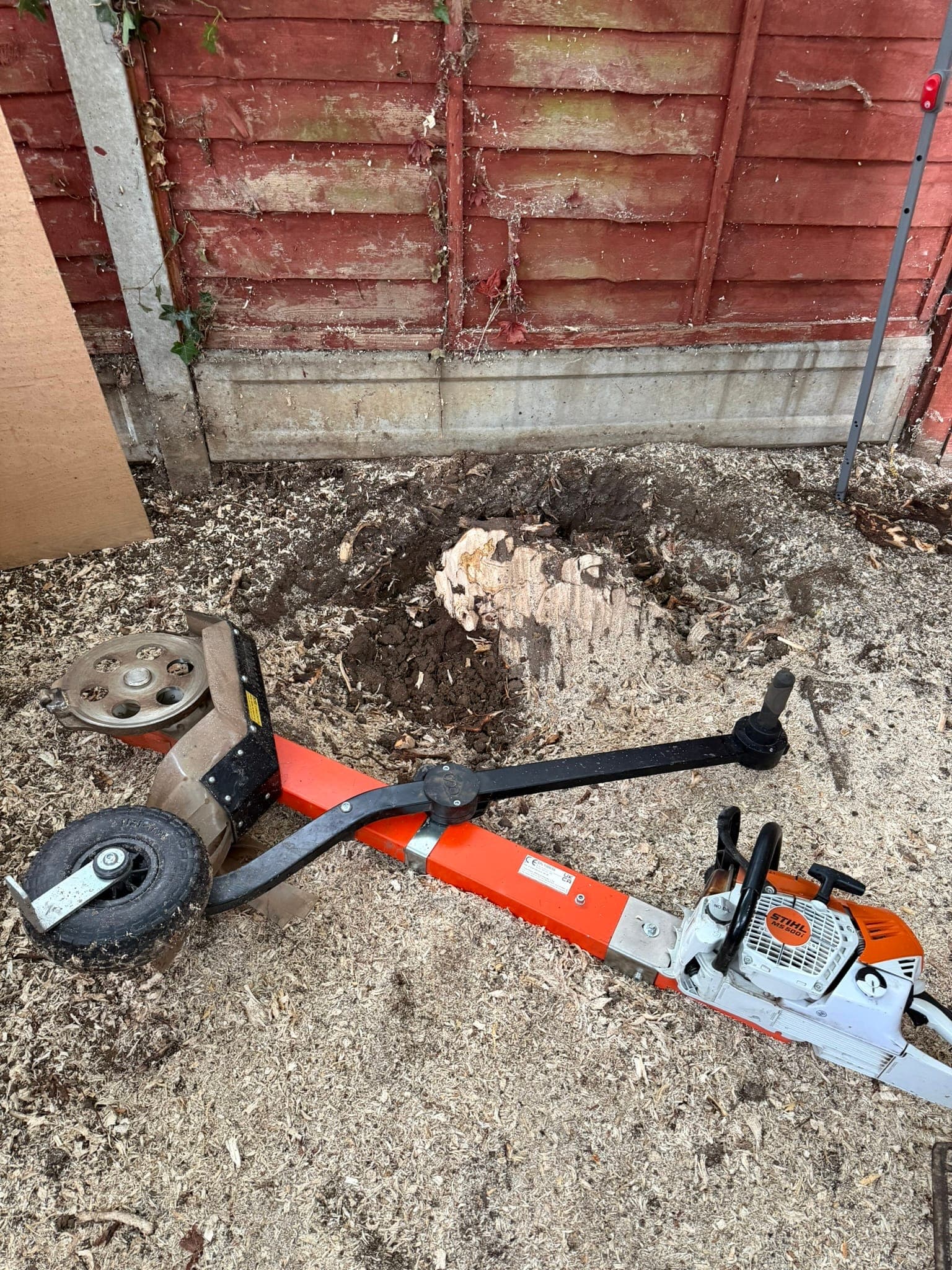 A part-ground stump right against a concrete gravel board and red fence panel, with the Terminator attachment lying in the chippings in front of it