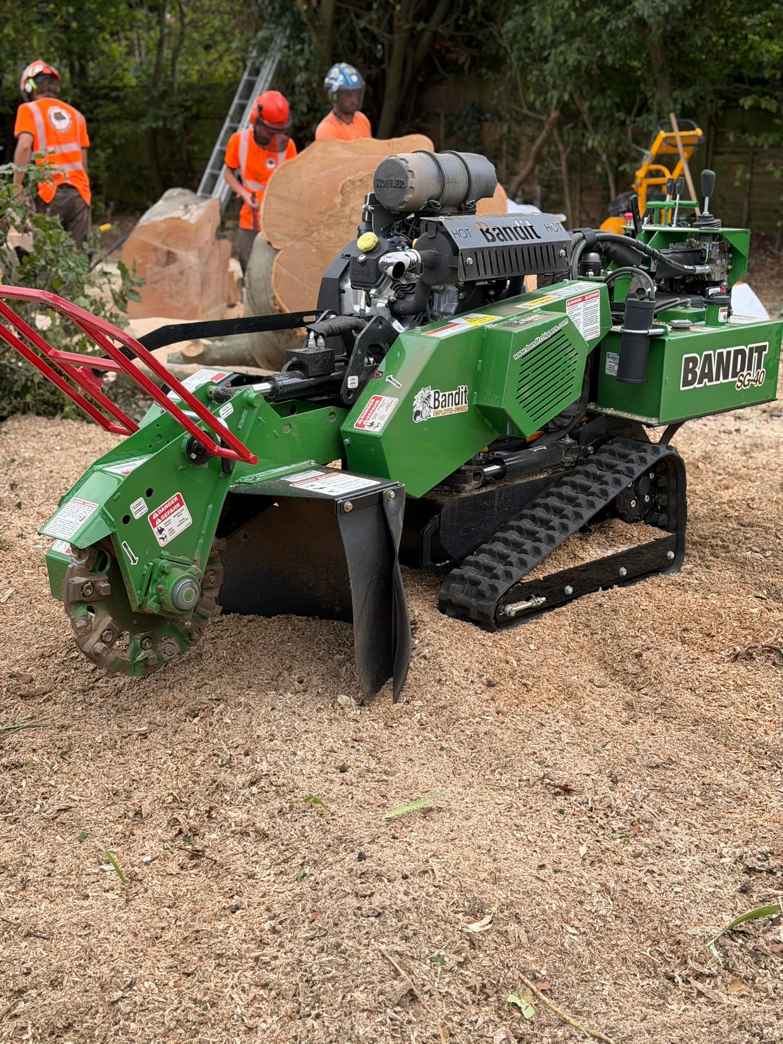 A green Bandit SG-40 tracked stump grinder on a deep bed of wood chippings, with a tree care team in hi-vis working on a felled beech trunk behind