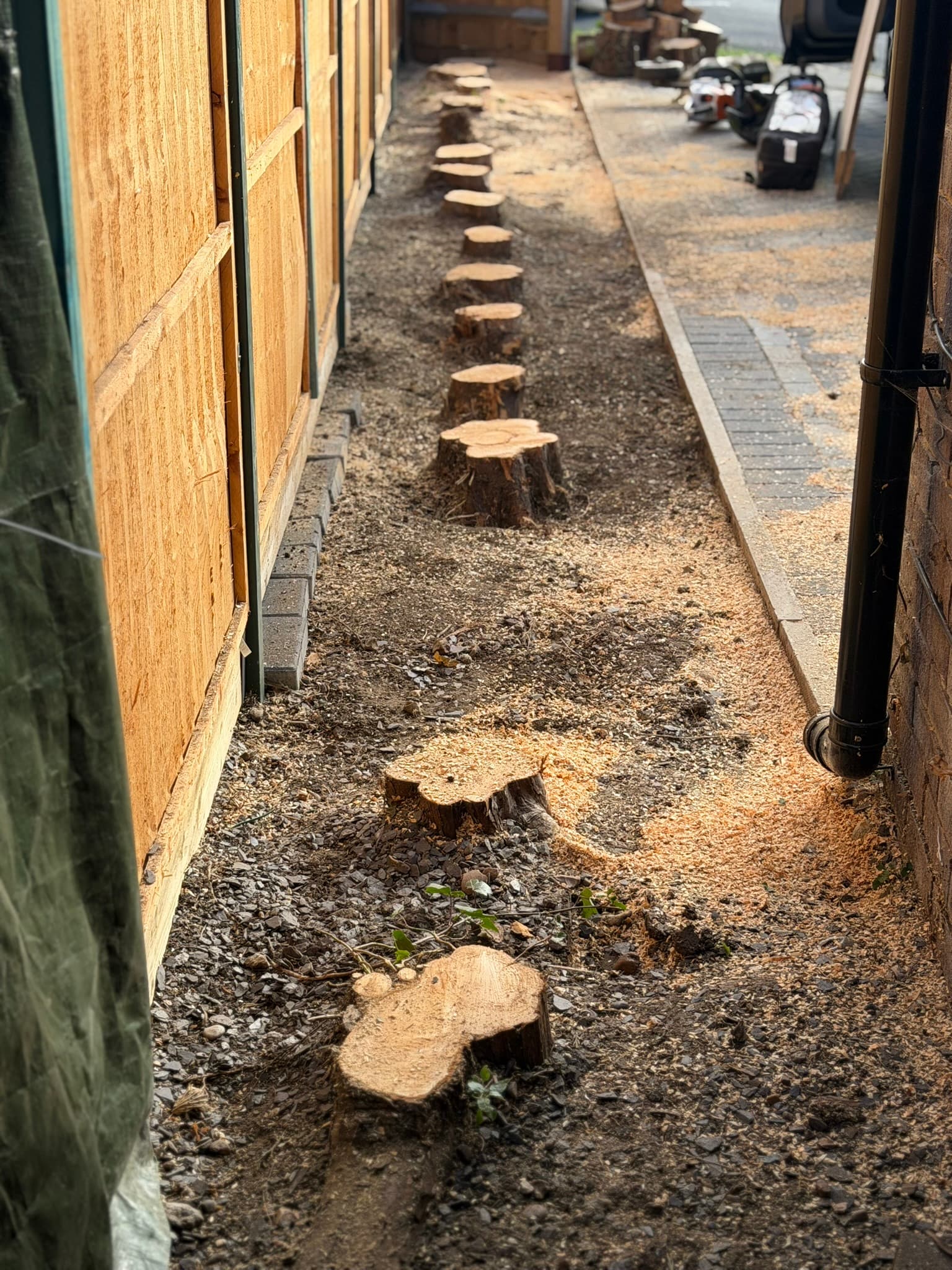 The same Hoddesdon passage part way through the job, with stumps ground down and fresh sawdust scattered across the ground