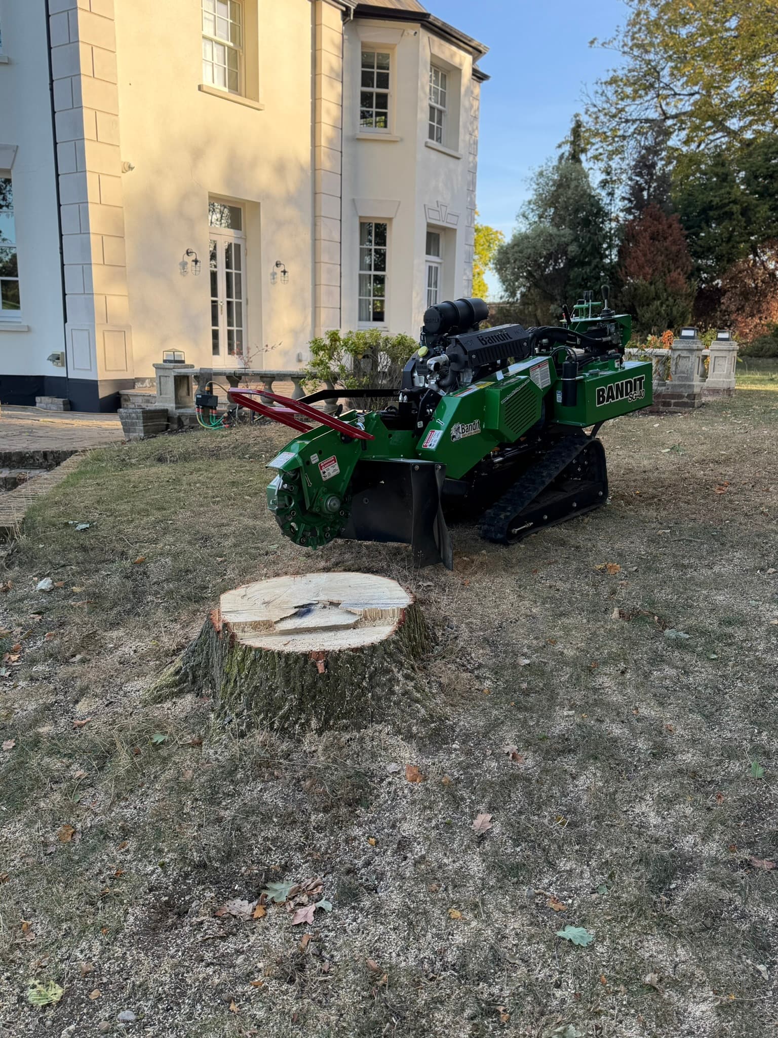 A large freshly cut oak stump on a lawn beside a green Bandit SG-40 tracked stump grinder, with a white rendered house behind, in Bayford