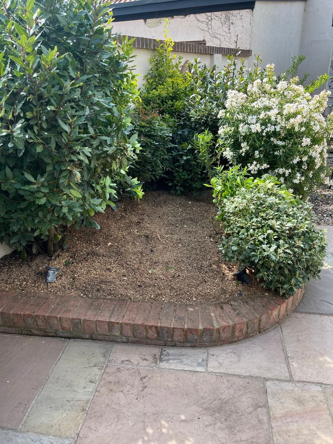 The finished bed after stump removal, raked and cleared, with the brick edging, paving and surrounding shrubs all left intact
