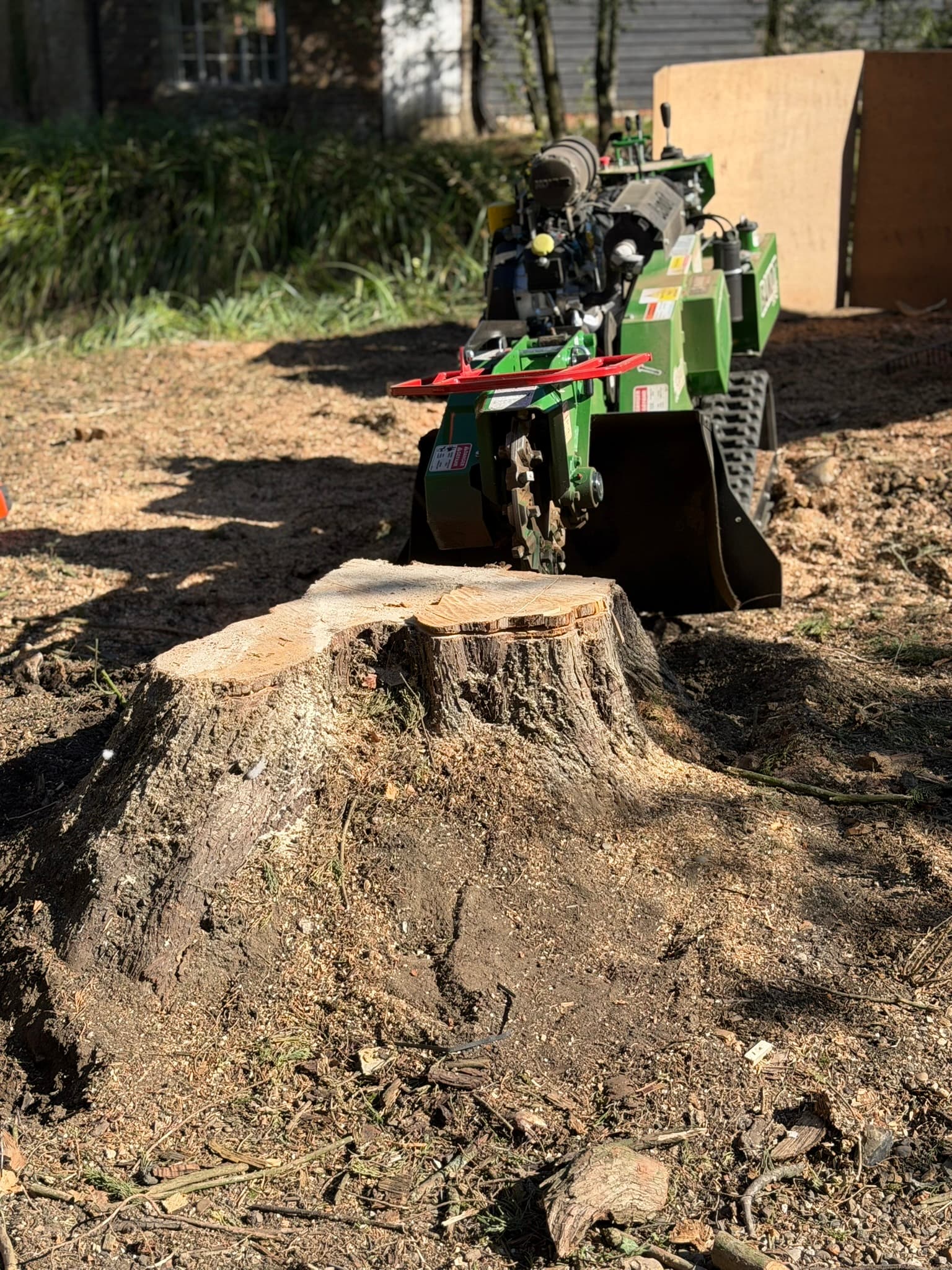 The Bandit SG-40 cutting wheel grinding into the cut face of a conifer stump in Braintree