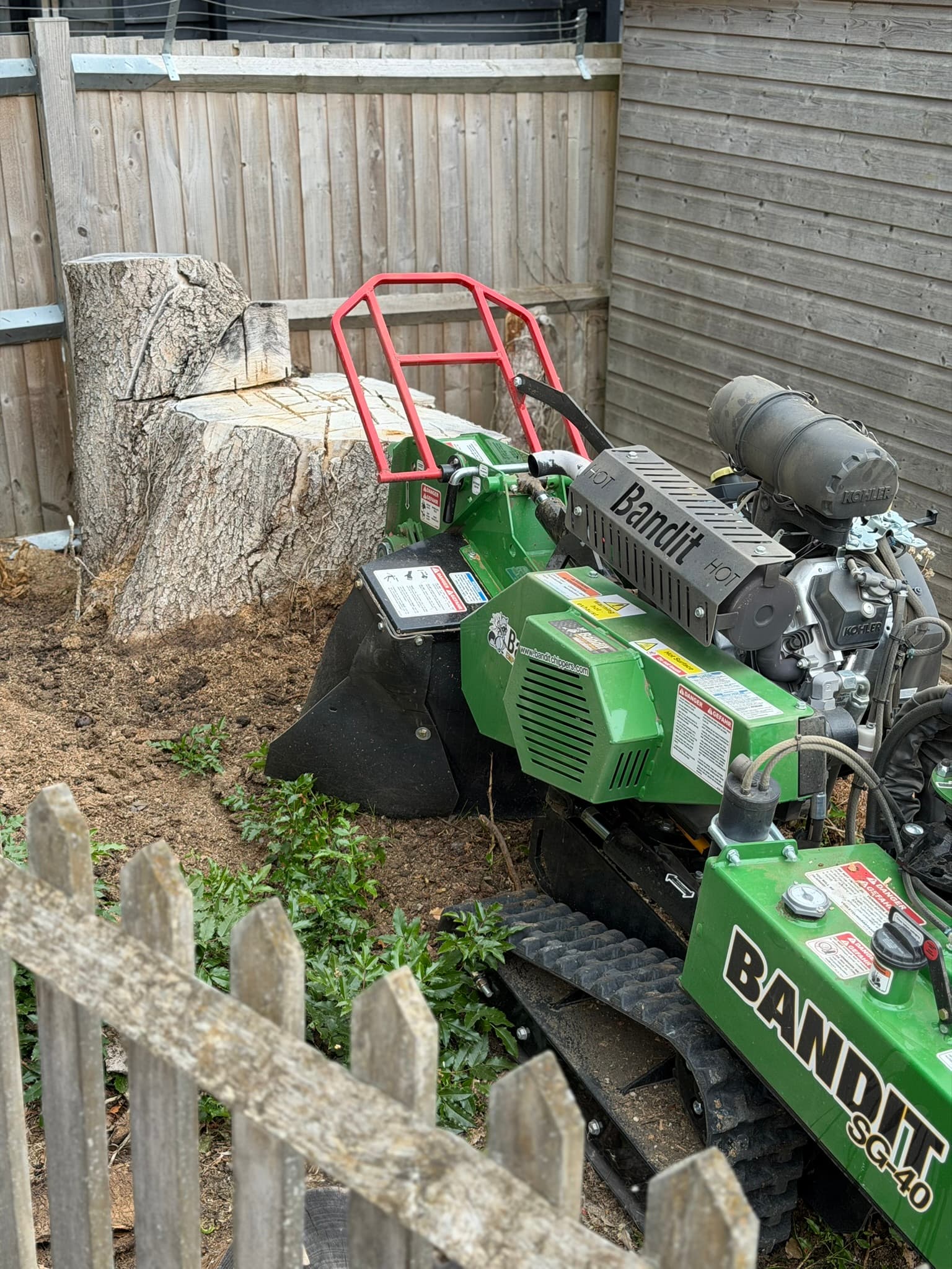 The large horse chestnut stump beside a green Bandit SG-40 tracked stump grinder in a fenced Brentwood garden