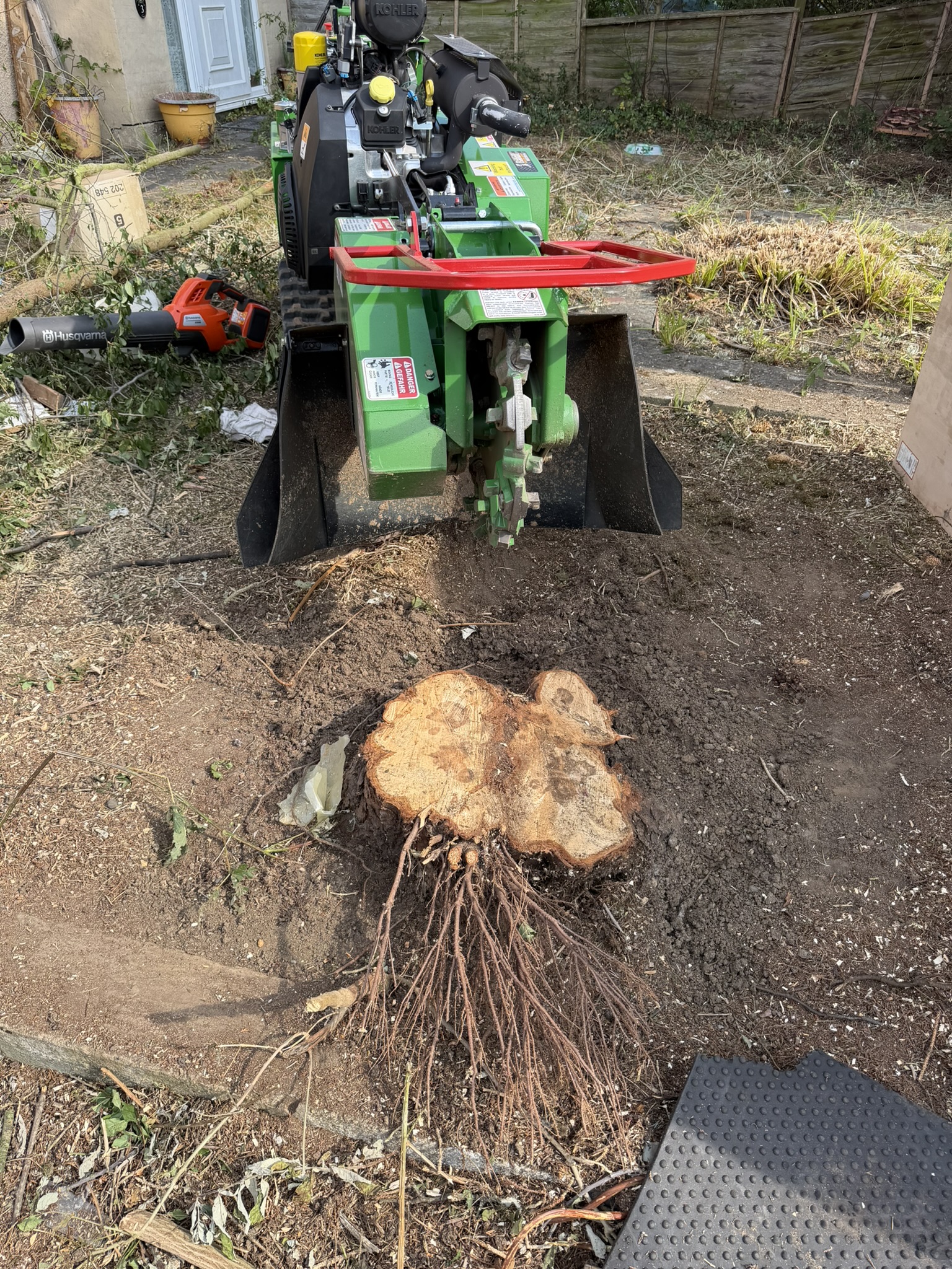 The green Bandit SG-40 stump grinder positioned at a freshly cut stump with an exposed root plate during site clearance in Romford