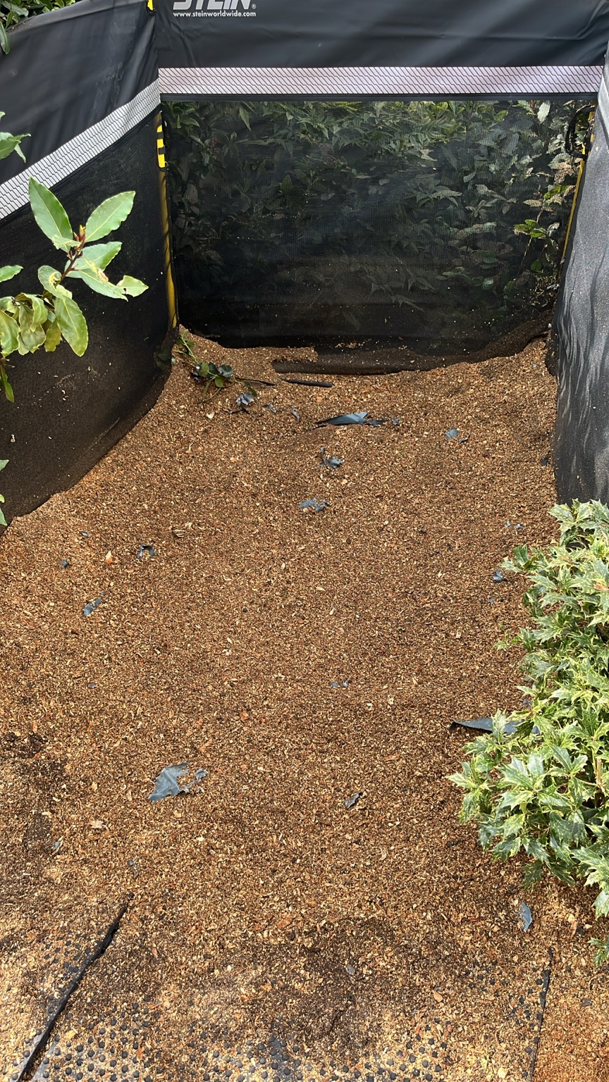 The cleared ground covered in fresh grindings inside the debris guard, with ground protection matting at the base