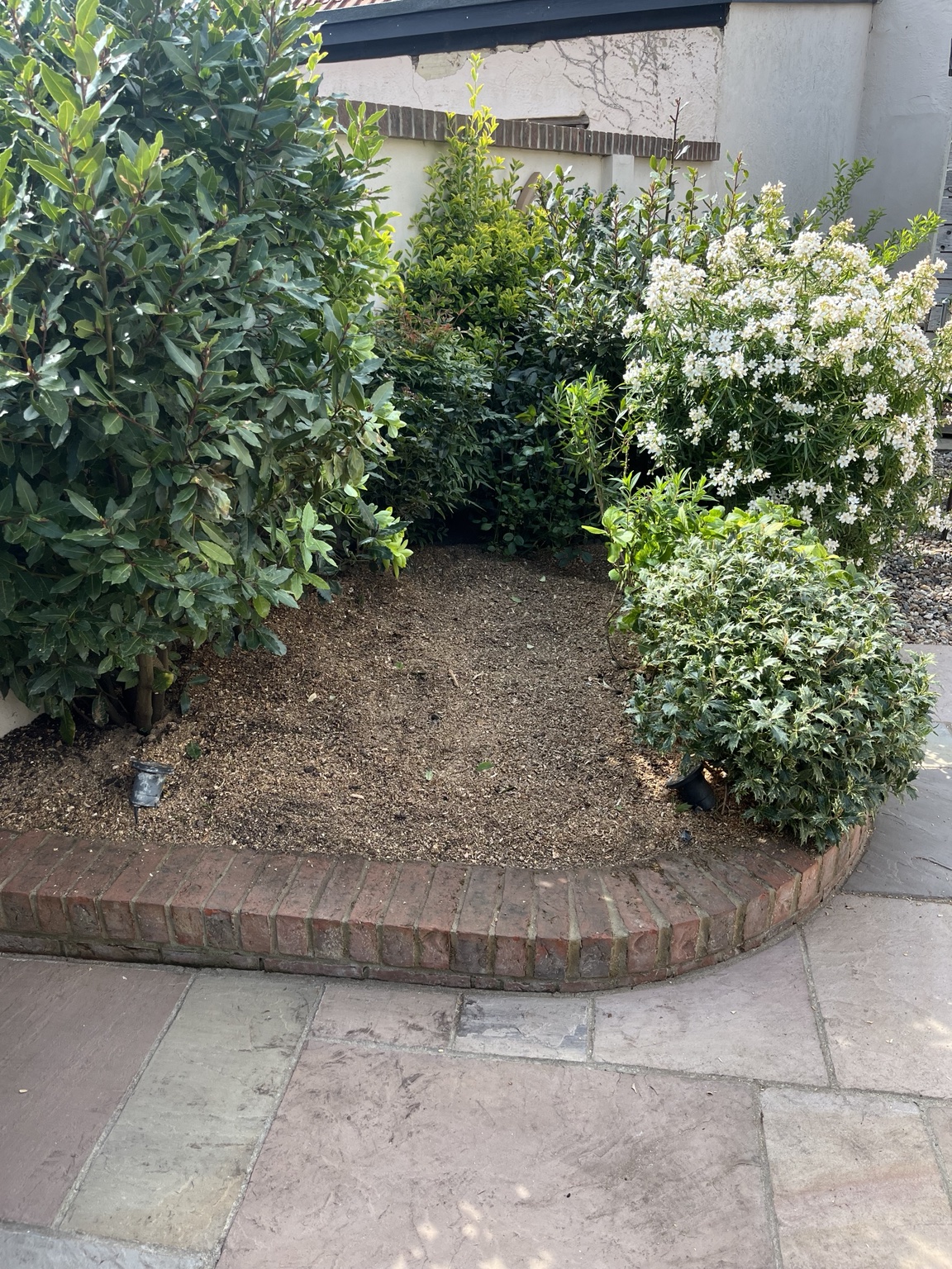 The finished bed after stump removal, raked and cleared, with the brick edging, paving and surrounding shrubs all left intact