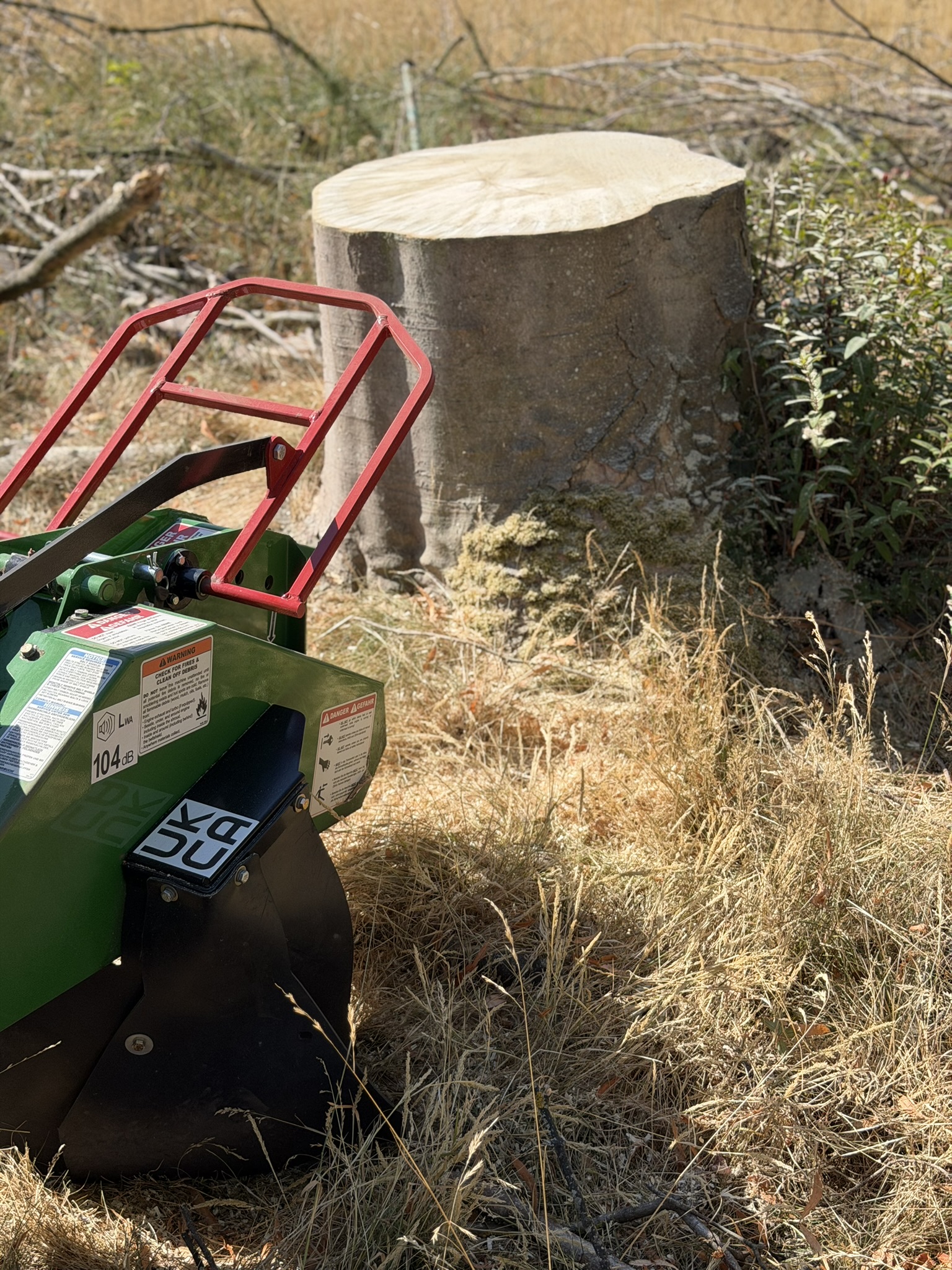 A large freshly cut stump beside the red roll-frame of the Bandit SG-40 stump grinder on the Chelmsford site