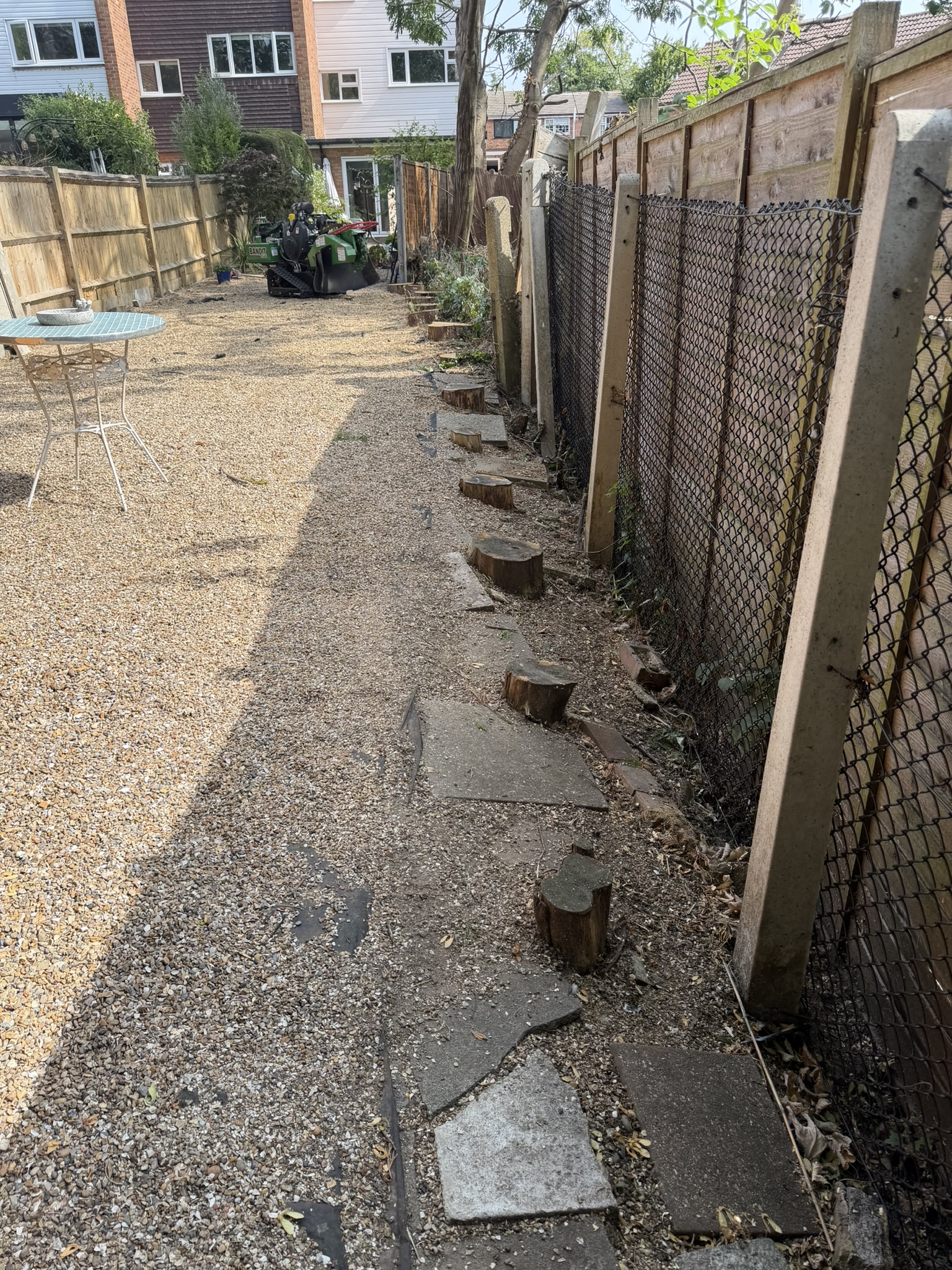A row of cut conifer stumps along the fence line of a Loughton garden with a stump grinder in the background