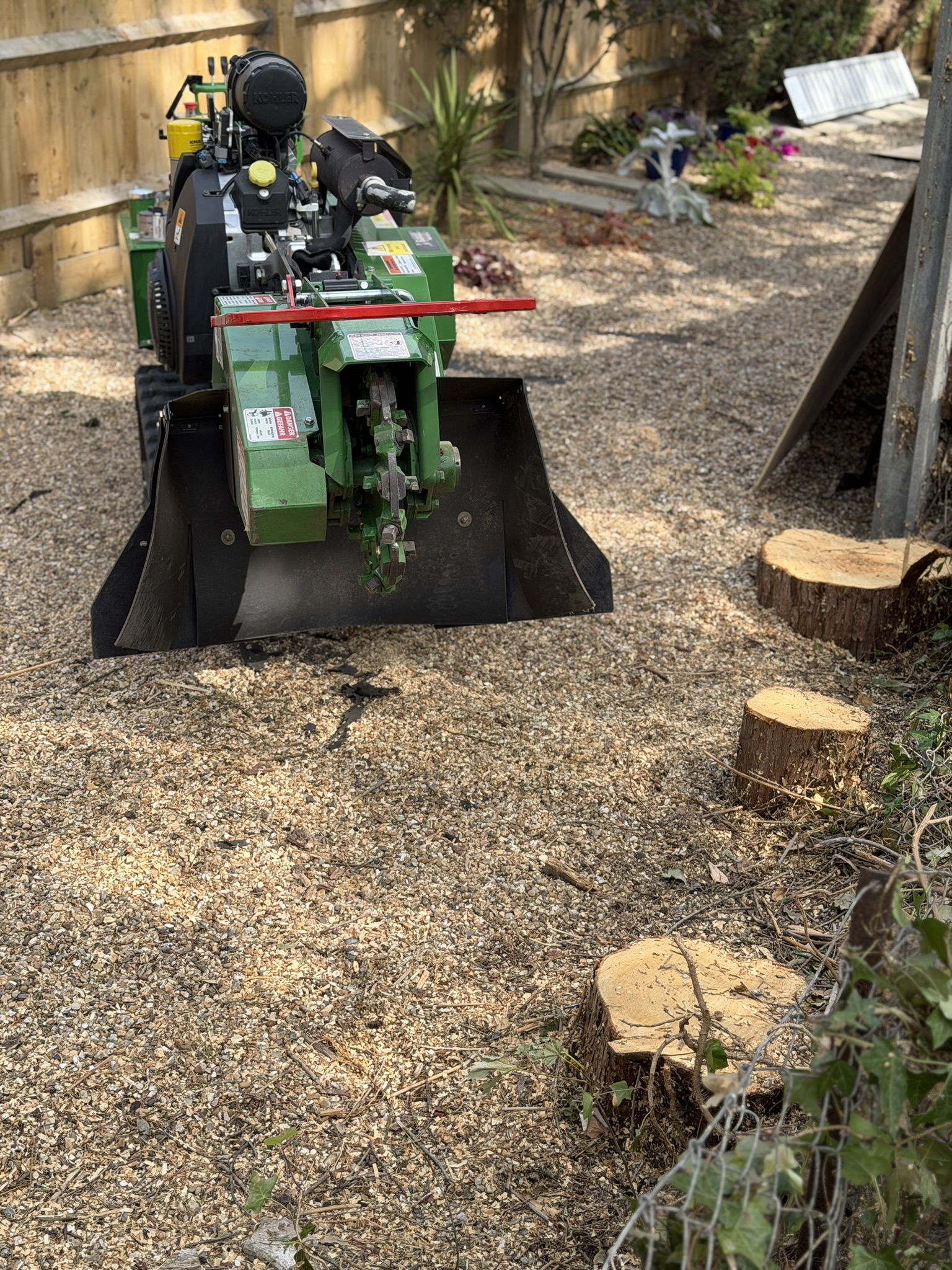 The Bandit SG-40 stump grinder on gravel beside cut conifer stumps against the fence