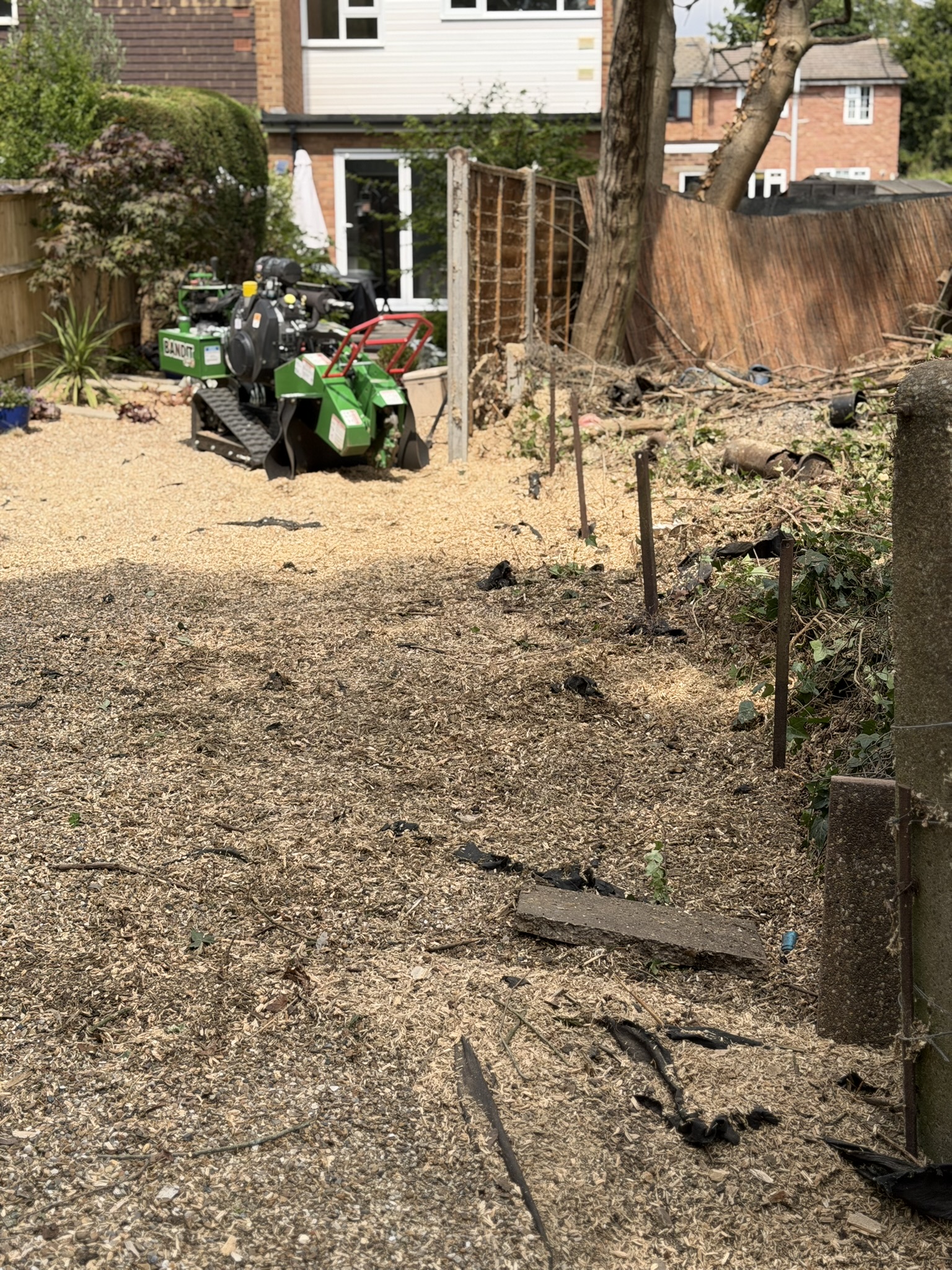 A Bandit SG-40 stump grinder working through a Loughton garden with fresh wood chippings across the ground